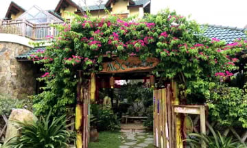 6 homestay view đẹp, gần biển ở Quy Nhơn dịp hè 2025