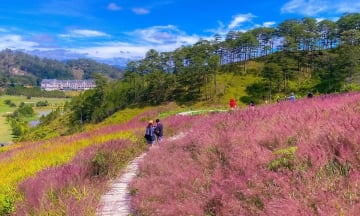 Top 7 điểm check-in đẹp mê mẩn ít ai biết ở Đà Lạt