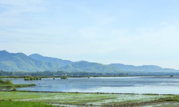 Bình Định có bao nhiêu đầm? 3 đầm nổi tiếng đáng khám phá nhất