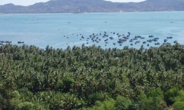 Từ sân bay Tuy Hòa đến vịnh Xuân Đài bao xa?