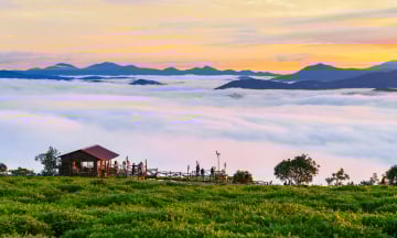 Top 5 địa điểm săn mây Đà Lạt miễn phí view cực đẹp