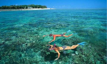 Khám phá Bãi Dứa: Vẻ đẹp tựa  'Maldives ' của thành phố biển Quy Nhơn