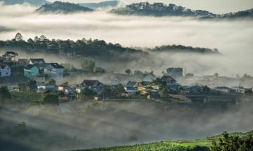 Kinh nghiệm du lịch Đà Lạt mùa mưa hữu ích nhất