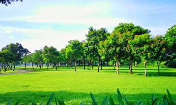 Khám phá công viên cây xanh lớn nhất Việt Nam: Điểm dã ngoại lý tưởng nhất nội thành Hà Nội