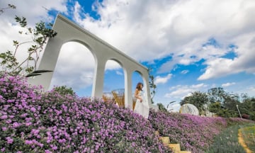 Top trải nghiệm nhất định phải thử khi du lịch Đà Lạt