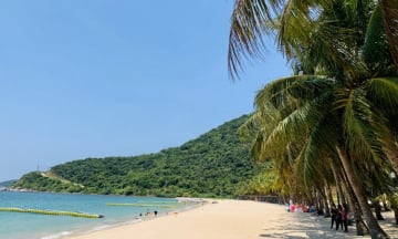 Top 5 trải nghiệm thú vị nhất khi du lịch Cù Lao Chàm