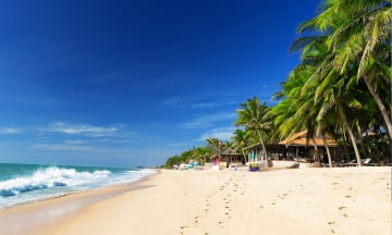 5 tour phổ biến miền Nam đi từ Sài Gòn đáng trải nghiệm nhất