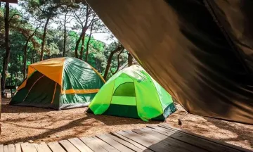 Bản Rõm Sóc Sơn – Điểm đến “trốn phố” lý tưởng ngay gần Hà Nội