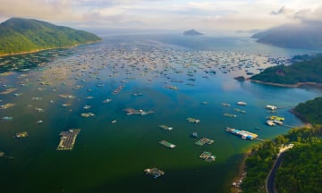 Du lịch Phú Yên nên đi đâu? Bật mí 5 địa điểm hút khách nhất