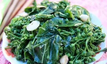Tại sao lá ngón - loài cây có độc “khét tiếng” - lại trở thành món ăn đặc sản ở Lai Châu?