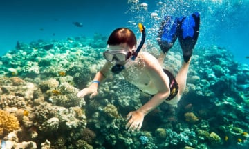 Hé lộ 5 tọa độ lặn biển ngắm san hô đẹp nhất Quy Nhơn
