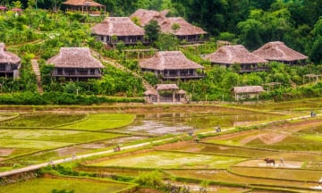 Mai Châu Hòa Bình có gì chơi? Gợi ý cảnh đẹp nên check-in
