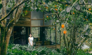 Mùa hồng Đà Lạt tháng mấy? Bật mí top 5 vườn hồng check-in siêu đẹp khi vào mùa