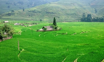 Du lịch Lào Cai mùa hè: Những điểm đến đẹp nhất cho chuyến đi tránh nóng lên vùng cao