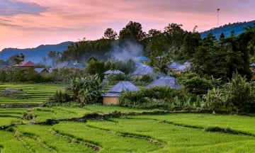 Kinh nghiệm du lịch Lào Cai dịp hè: Khám phá vẻ đẹp miền Tây Bắc hùng vĩ