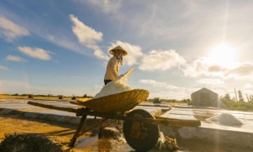 Top 10 cảnh đẹp nhất mùa hè của Ninh Bình