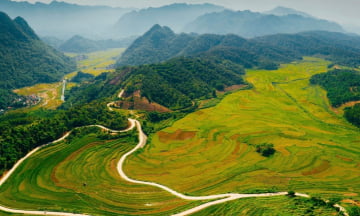 Du lịch mùa lúa chín ở đâu đẹp nhất?