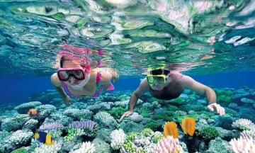 Check-in 4 địa điểm ngắm san hô đẹp nhất Phú Yên