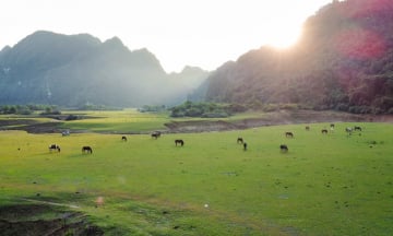 Theo chân du khách đến thảo nguyên Đồng Lâm ngắm tuyệt cảnh thiên nhiên giữa lòng xứ Lạng