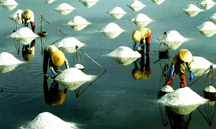 Vẻ đẹp của Cánh đồng muối Đầm Vua Ninh Thuận, nơi có những “ngọn đồi tuyết trắng”