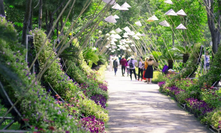 Tham quan Đảo Hoa Lan Nha Trang, thiên đường lộng lẫy của xứ hương trầm