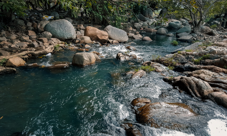 Suối Lồ Ồ - toạ độ thiên nhiên tuyệt sắc của núi rừng Ninh Thuận