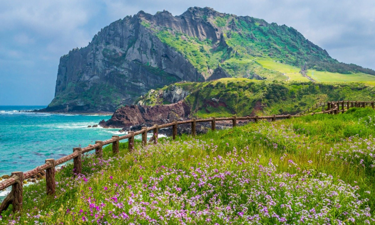 Tại sao đi đảo Jeju không cần visa?