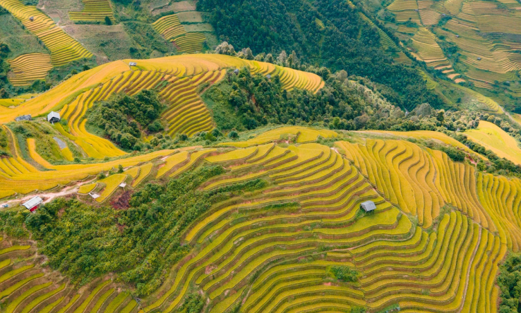 Một nơi có vẻ đẹp “siêu thực” cách Hà Nội 300km, mùa đông hay hè đều đẹp “cực phẩm”