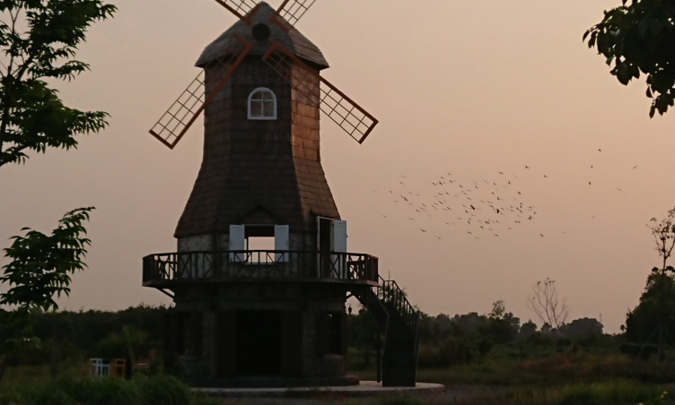 Săn hình tại Phim trường The Windmill - Bình Dương: Nơi mọi góc chụp đều trở thành  'kiệt tác '