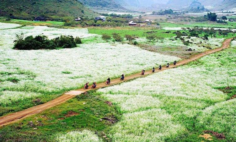 Bản Thung Cuông Mộc Châu - Làng nhỏ ẩn mình giữa đại ngàn xanh thẳm