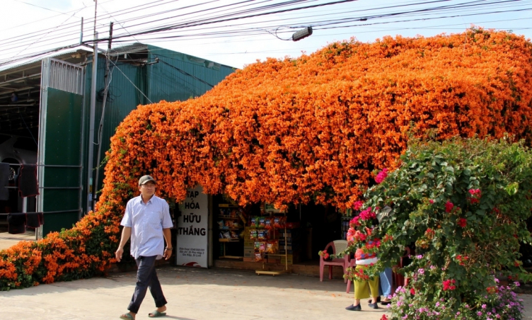 “Ngôi nhà màu cam” làm dân tình xốn xang tại Lâm Đồng