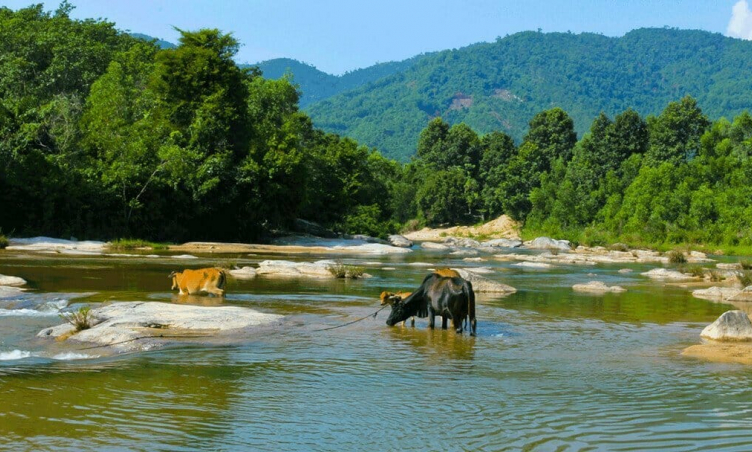 Bỏ túi kinh nghiệm khám phá suối Đá Giăng Khánh Hòa