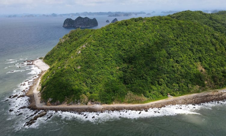 Giá vé tàu đi đảo Ngọc Vừng Quảng Ninh bao nhiêu?