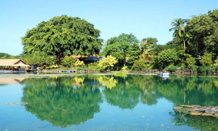 Suối mơ Đà Nẵng ở đâu? Có gì vui chơi?