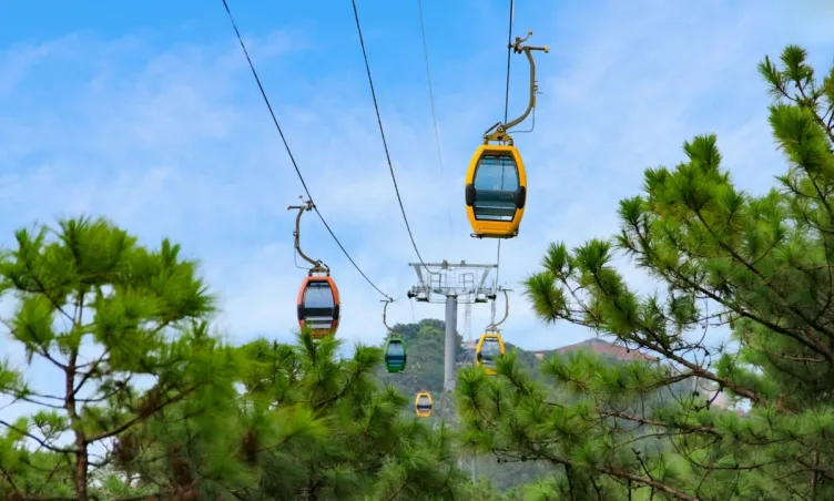 Cáp Treo Đà Lạt lọt Top 10 Thương hiệu Vàng Việt Nam 2025