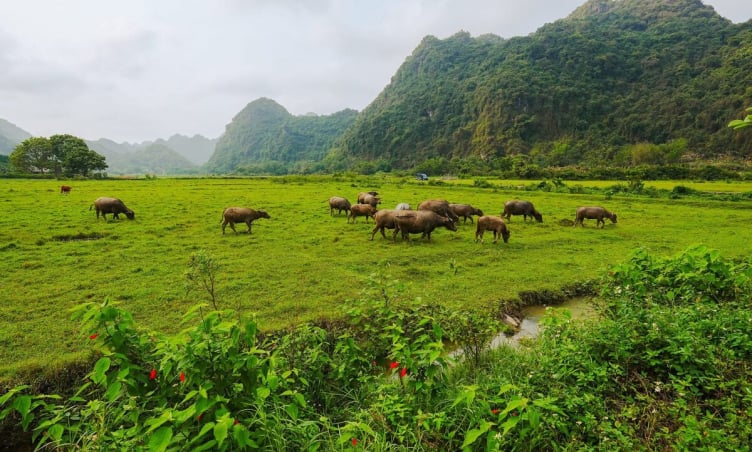 Nơi chữa lành đúng nghĩa ở Hải Phòng không phải ai cũng biết