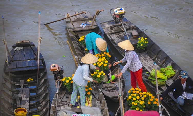 Trải nghiệm Vĩnh Long mùa nước nổi: Vẻ đẹp rực rỡ giữa lòng miền Tây