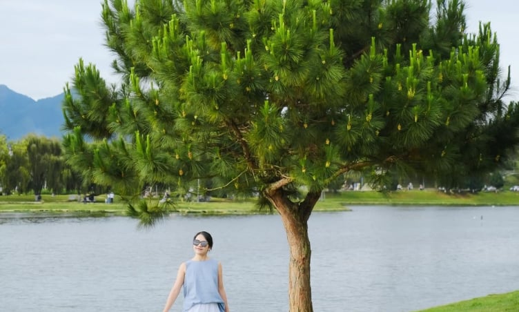 7 hồ nước đẹp bậc nhất Đà Lạt: Thiên đường check-in cho các tín đồ sống ảo