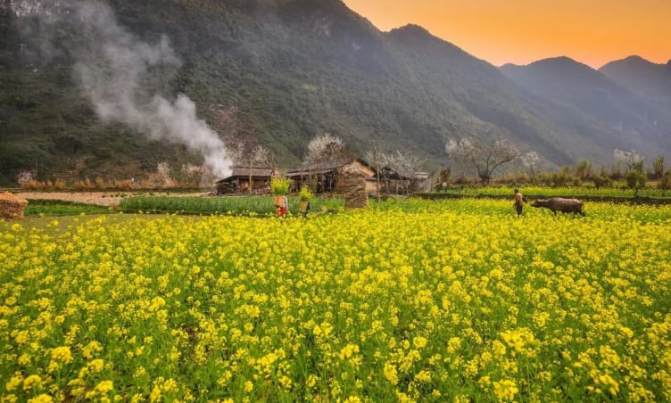 Kinh nghiệm du lịch Hà Giang hè 2025 chi tiết cho người mới đi lần đầu
