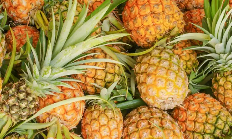 Top 5 đặc sản Tam Đảo nức tiếng gần xa mang về làm quà