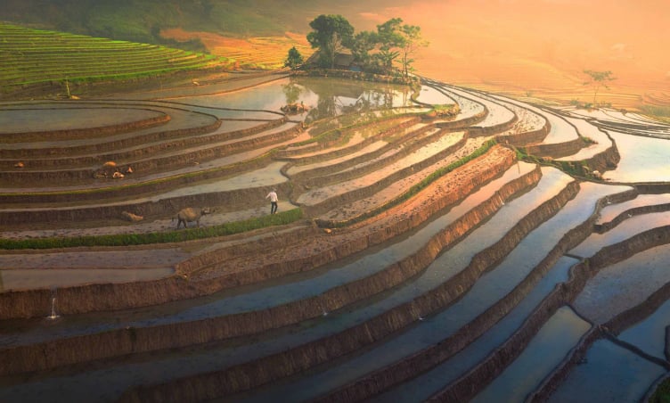 Mường Hum mùa nước đổ: Khi ruộng bậc thang hóa thành gương trời