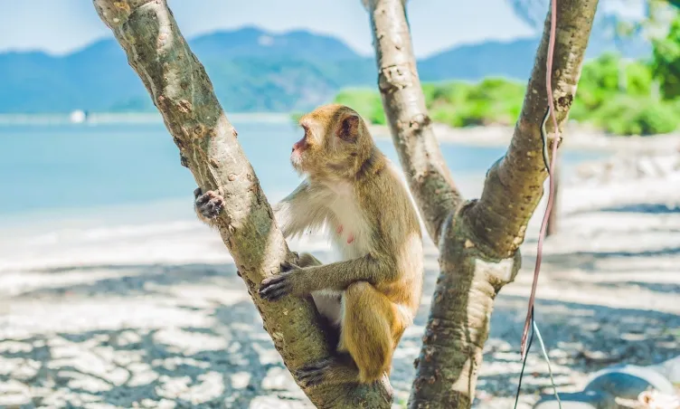 Bí kíp du lịch Nha Trang 3 ngày 2 đêm siêu tiết kiệm