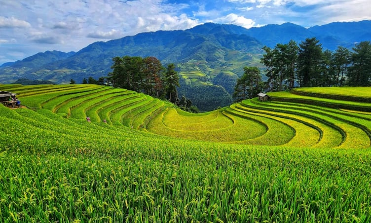Lưu ngay top 5 địa điểm đẹp nhất Yên Bái cho chuyến du lịch hè 2025