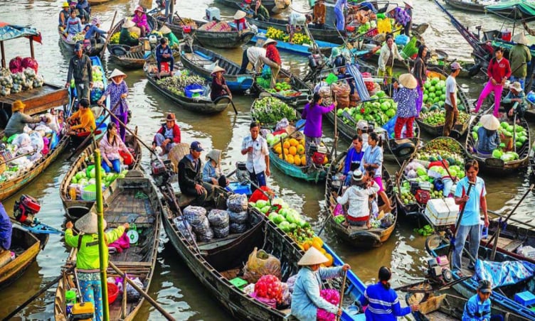 Bỏ túi kinh nghiệm du lịch Tiền Giang 1 ngày: Chơi gì, ăn ở đâu?