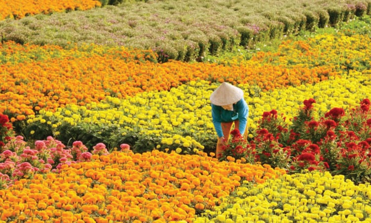 Top 7 địa điểm nhất định phải ghé qua khi đến Bến Tre