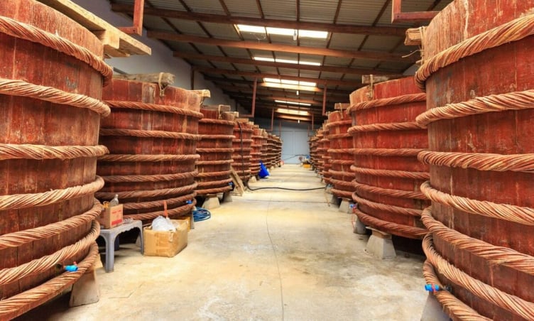 Nước mắm Cà Ná: Gia vị đặc sản nổi tiếng nhất Ninh Thuận
