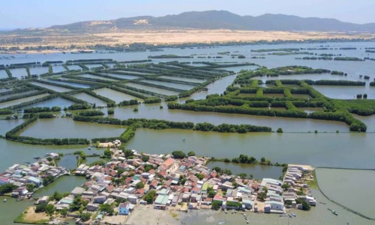Khám phá đầm lớn nhất Bình Định: Tại sao gọi là Thị Nại?