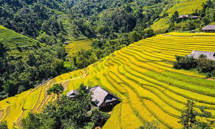 Bản Luốc: Vẻ đẹp bình yên ở nơi có ruộng bậc thang đẹp nhất Hà Giang