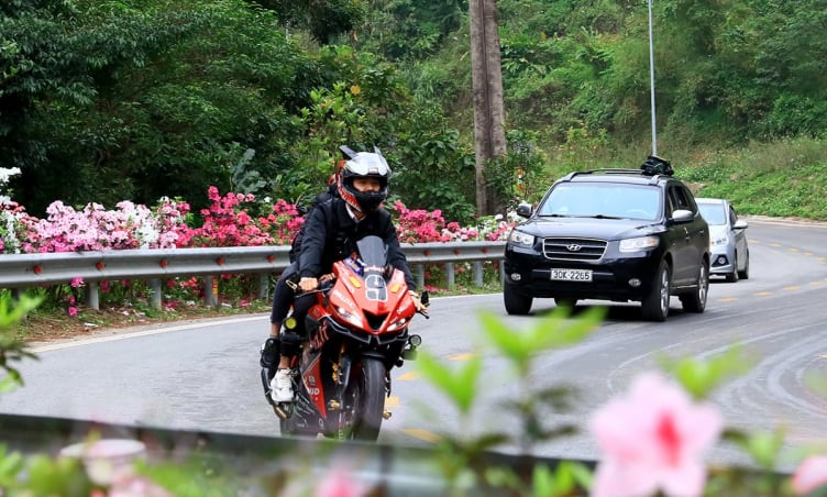 Có nên đi Tam Đảo trong ngày từ Hà Nội không?