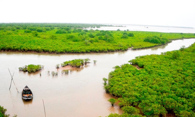 Khám phá: Tỉnh ở miền Bắc sở hữu vườn quốc gia là khu Ramsar đầu tiên của Việt Nam